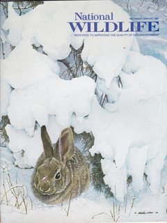 National Wildlife Magazine December/January 1983 (Dedicated to Improving the Quality of Our Environment, 21)