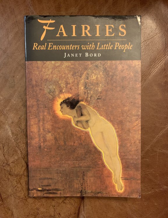 Fairies Real Encounters with Little People