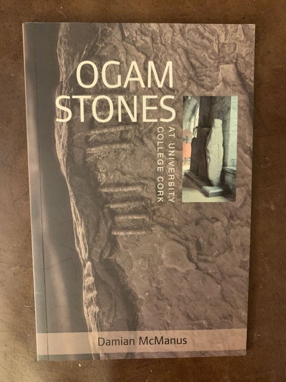 The Ogam Stones at University College Cork (University Heritage)