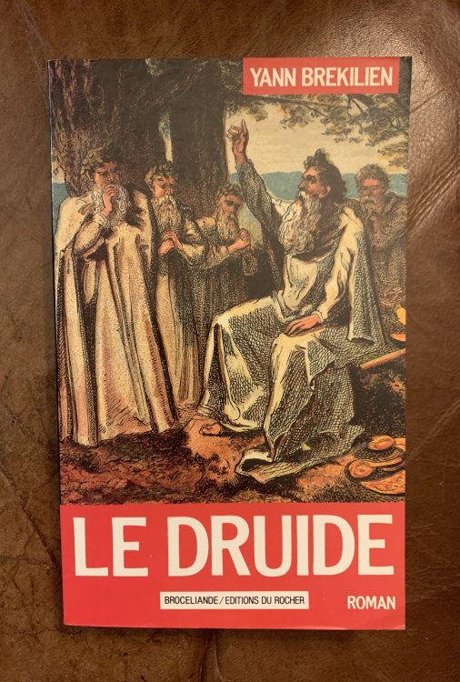 Le Druide Roman (French Edition)