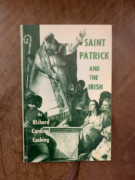 Saint Patrick And The Irish