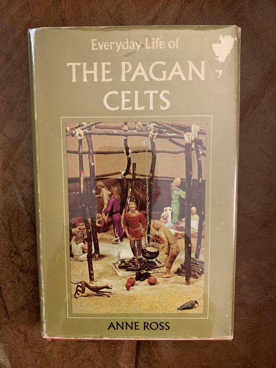 Everyday Life of The Pagan Celts