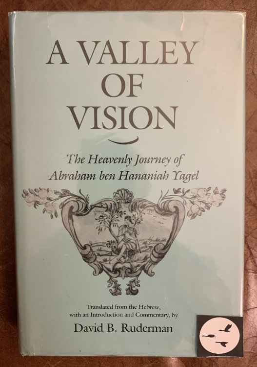 Image for A Valley of Vision The Heavenly Journey of Abraham Ben Hananiah Yagel A Valley of Vision The Heavenly Journey of Abraham Ben Hananiah Yagel