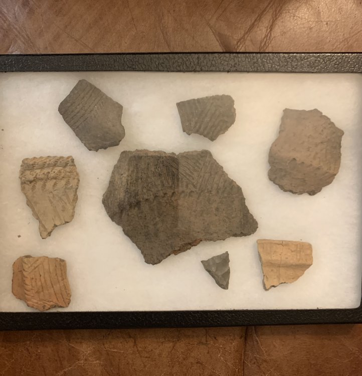Iroquoian Pottery Fragments from the Seventeen and Sixteenth Century Seven Assorted Pieces From Possible Seneca and Cayuga Sites