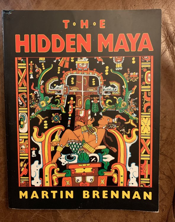 The Hidden Maya: A New Understanding of Maya Glyphs
