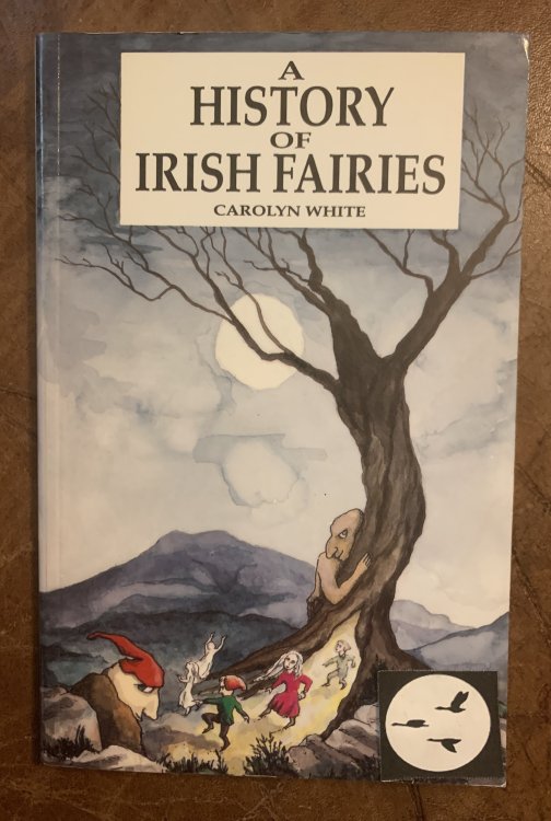 A History of Irish Fairies