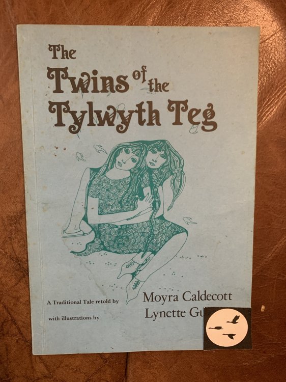 The Twins of the Tylwyth Teg