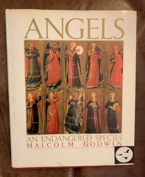 Angels An Endangered Species