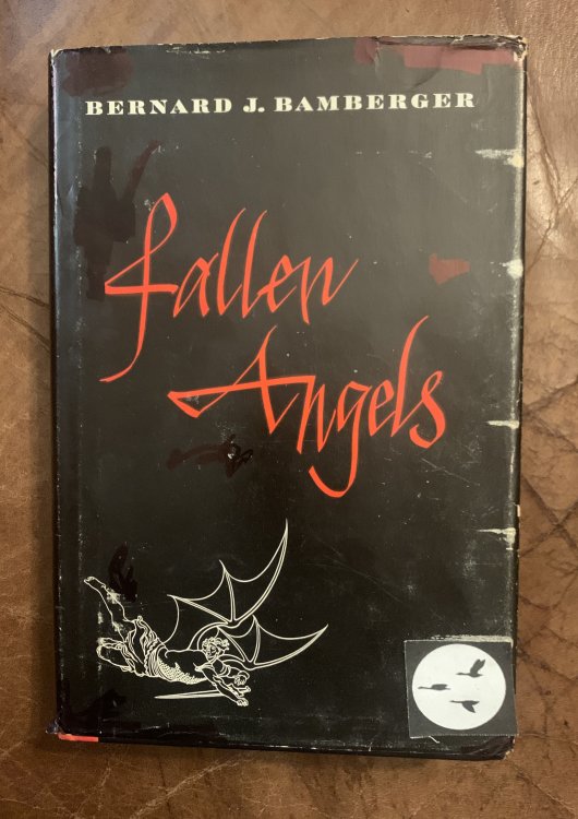 Image for Fallen Angels Fallen Angels