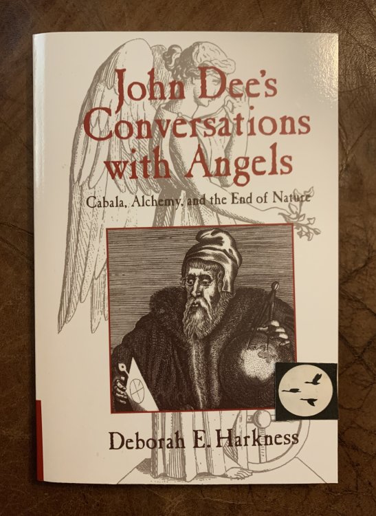 John Dee's Conversations with Angels Cabala, Alchemy, and the End of Nature