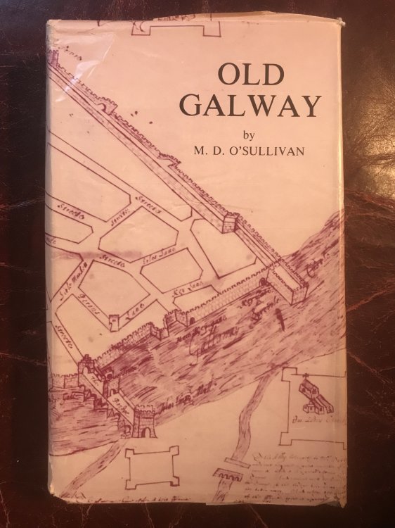 Old Galway: The History of a Norman Colony in Ireland