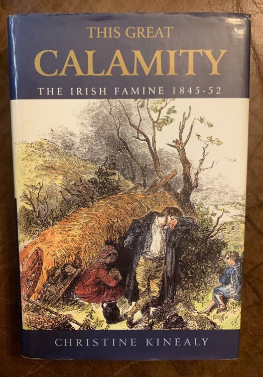 This Great Calamity: the Irish Famine 1845-52