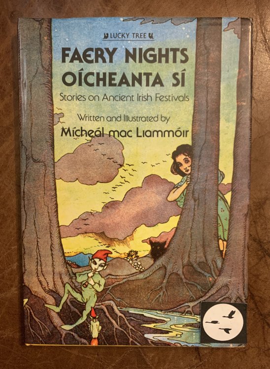 Faery Nights Oicheanta Si: Stories on Ancient Irish Festivals Hardcover