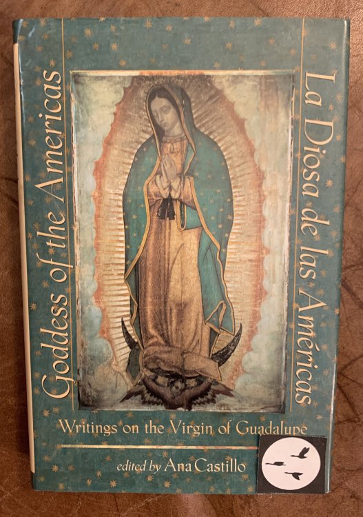 Goddess of the Americas La Diosa de Las Americas: Writings On The Virgin Of Guadalupe