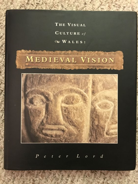 Medieval Vision (the Visual Culture of Wales)