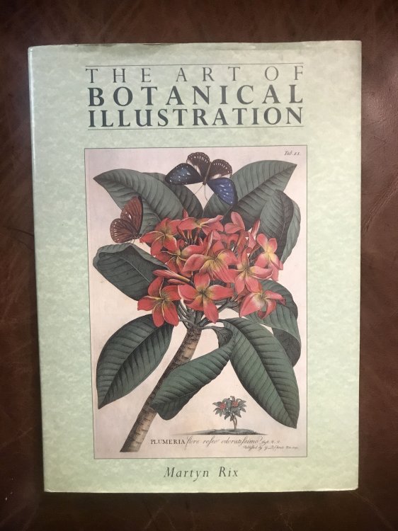 Art of Botanical Illustrations