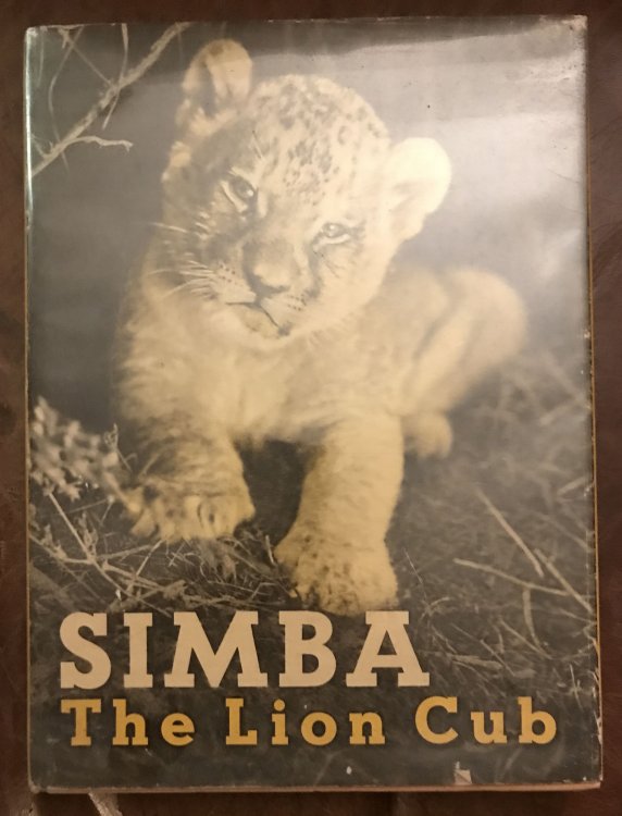 Simba The Lion Cub