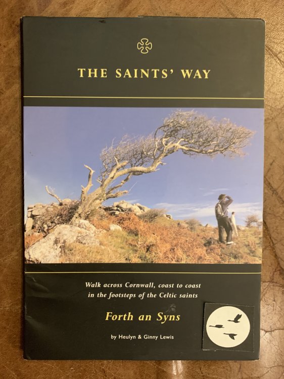 The Saints' Way Walk Across Cornwall, Coast to Coast in the Footsteps of the Celtic Saints Forth an Syns