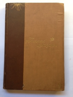 The Afternoon Landscape : Poems and Translations