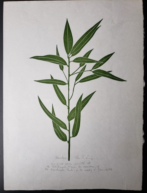Linoleum Block Print of a Northern California Plant or Flower: Bamboo. Signed and Numbered by Dr. Edmund E. Simpson.