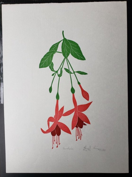 Linoleum Block Print of a Northern California Plant or Flower: Fuschia. Signed and Numbered by Dr. Edmund E. Simpson.