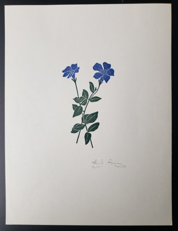 Linoleum Block Print of a Northern California Plant or Flower: Untitled. Signed and Numbered by Dr. Edmund E. Simpson.