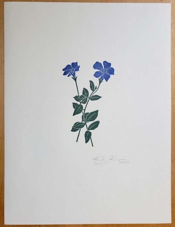 Linoleum Block Print of a Northern California Plant or Flower: Untitled. Signed and Numbered by Dr. Edmund E. Simpson.