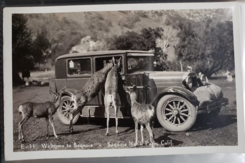 Real Photo Post Card: 