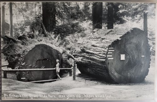 Real Photo Post Card: 