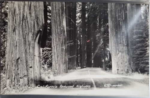 Real Photo Post Card: 