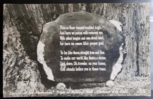 Real Photo Post Card: 