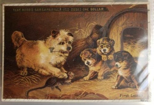 Original Trade Card - 