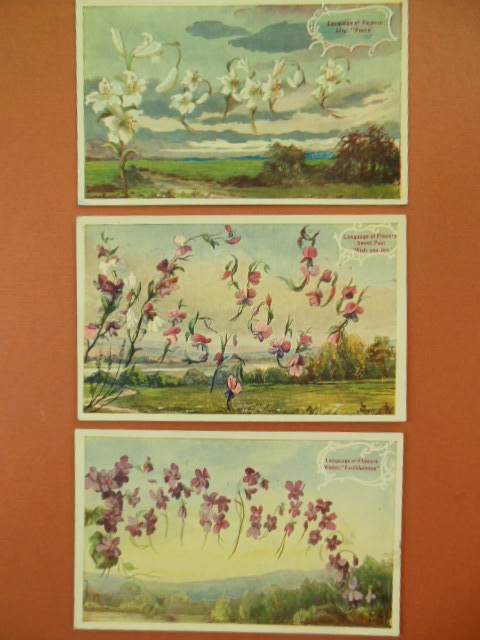 Language of Flowers Postcard Series; Violet, Lily, Sweet Pea, three cards)