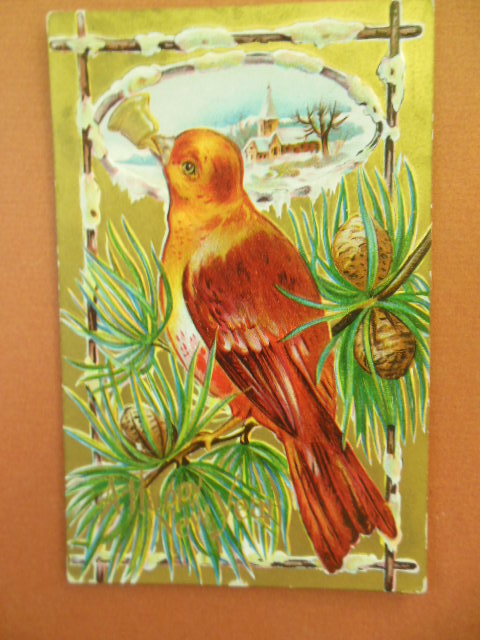 A Happy New Year Bird Series Postcard Large Red Bird in Pine Boughs 1910