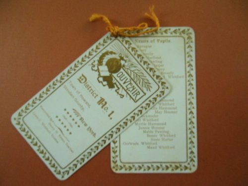 School Souvenir District No. 1 Town of Howard, Steuben County, New York 1898-1899