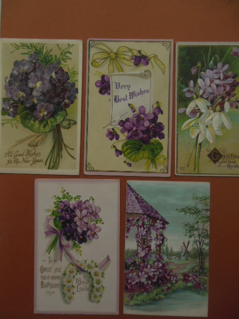 Vintage Postcards Violets (5) Early 1900's