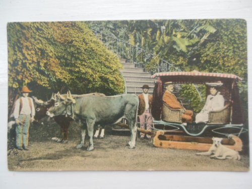 Postcard Portuguese Couple in Unusual Cart