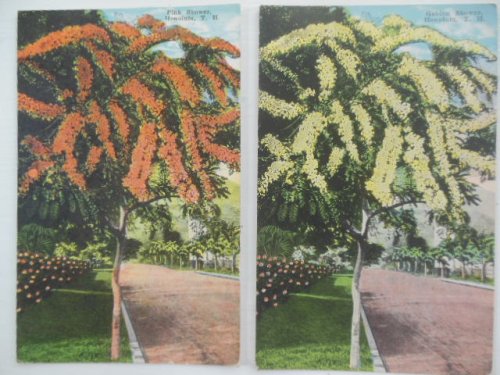 Postcards Honolulu Pink Shower, Golden Shower (two cards)