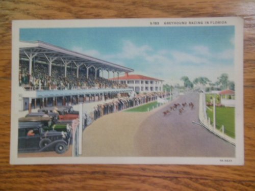 Linen Postcard Greyhound Racing in Florida
