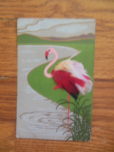 Postcard Flamingo With Actual Feathers (early 20th century)