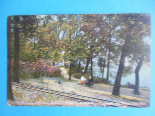 Postcard Along the Miniature Railroad Between Silver Lake and Chautauqua Parks (Early 1900's)
