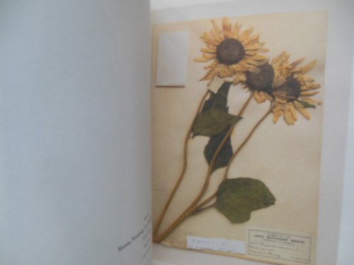 From Prairie To Field (Art Prints, 2002)