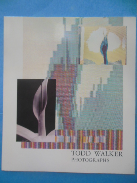 Todd Walker Photographs Untitled 38 (1985)
