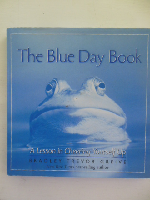 The Blue Day Book: A Lesson In Cheering Yourself Up (20000)