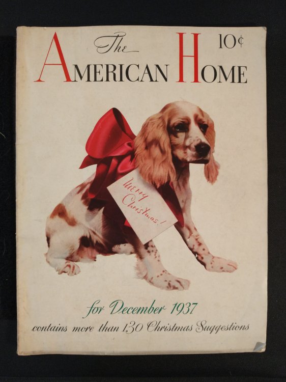 AMERICAN HOME MAGAZINE