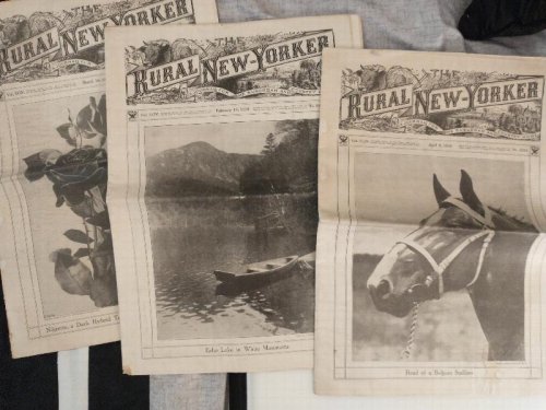 THE RURAL NEW - YORKER [ 5 ISSUES ]