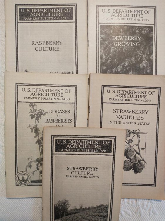 U.S. DEPARTMENT OF AGRICULTURE FARMERS' BULLETIN [ 6 ISSUES ON GROWING BERRIES ]1043