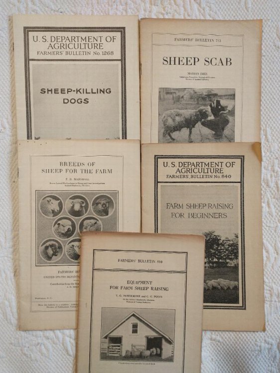 U.S. DEPARTMENT OF AGRICULTURE FARMERS' BULLETIN [ 5 ISSUES ON SHEEP ]