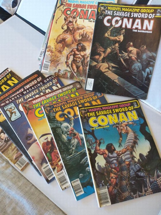 THE SAVAGE SWORD OF CONAN THE BARBARIAN 12 ISSUES 1981