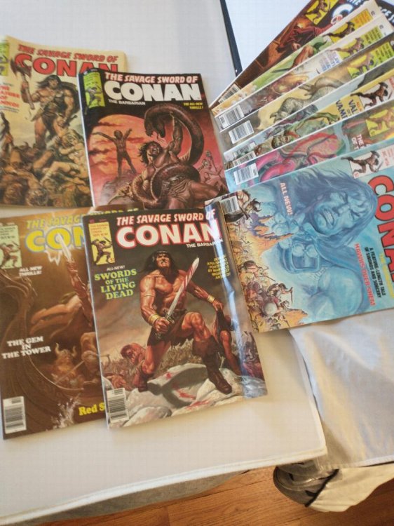 THE SAVAGE SWORD OF CONAN THE BARBARIAN [ 12 ISSUES , NO 36 THROUGH 47 ]